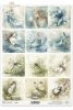 Akwarele, syreny, ryby, woda, fantazja, ocean, morze*Watercolors, mermaids, fish, water, fantasy, ocean, seaAkwarele, owady, ważka, motyl, chrząszcz, botaniczne, natura, ziemia*Watercolors, insects, dragonfly, butterfly, beetle, botanical, nature, earth
